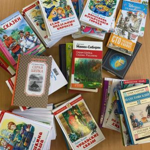 В Изобильненском округе активисты партии собрали книги для детей ЛДНР