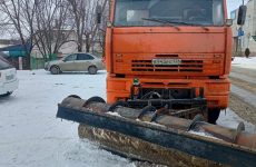 Активисты партии помогают в расчистке снега на Ставрополье
