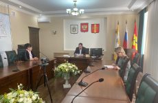 Глава Новоалександровского городского округа провел прием граждан по вопросам здравоохранения