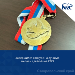 Завершился конкурс на лучшую медаль для бойцов СВО