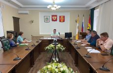 Глава Новоалександровского городского округа провел прием граждан по вопросам материнства и детства